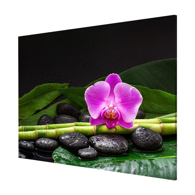 Lavagne magnetiche con fiori Bambù verde con fiore di orchidea
