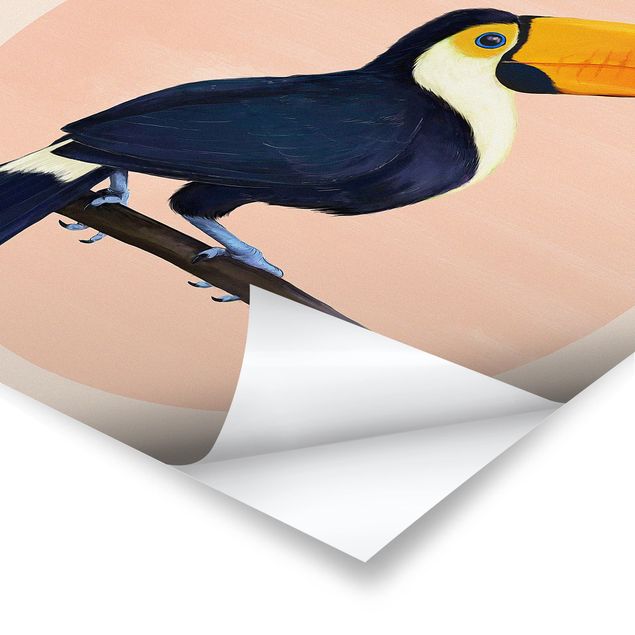 Stampe poster Illustrazione - Uccello Tucano Pittura Pastello