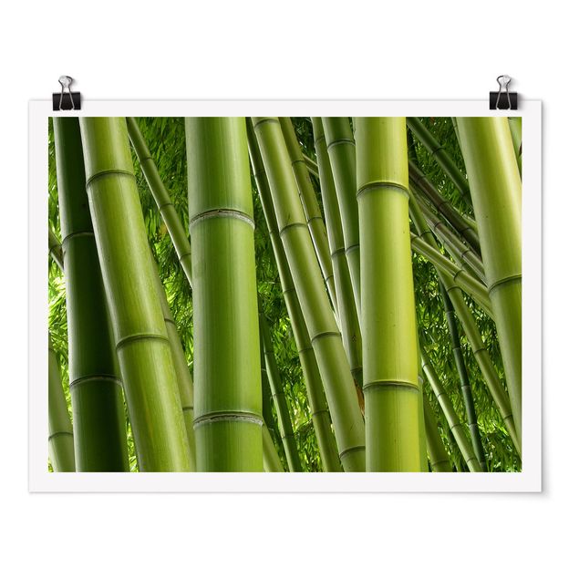 Quadri con fiori Alberi di bambù n.2