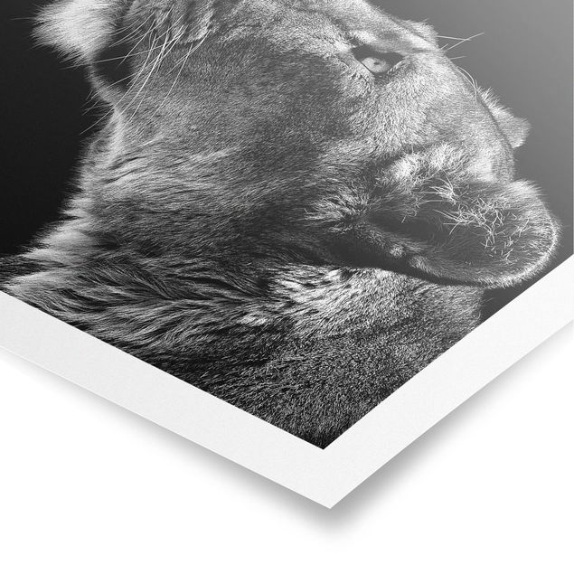 Poster - Ritratto di una leonessa - Orizzontale 3:4