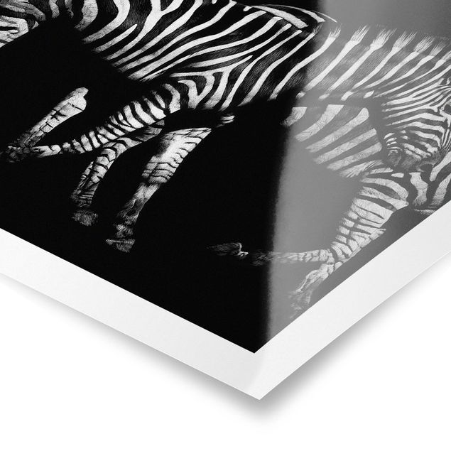 Poster in bianco e nero Zebra nel buio