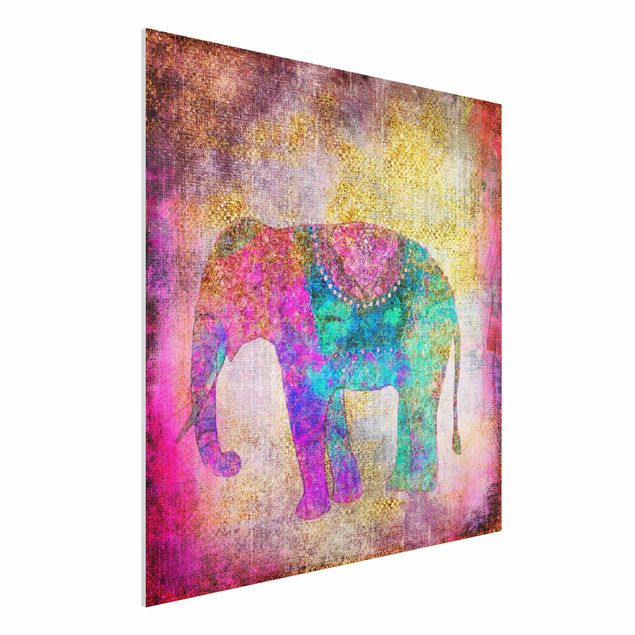 Quadri con elefanti Collage colorato - Elefante indiano