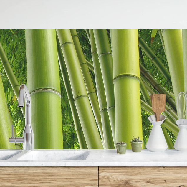 Rivestimenti per cucina con paesaggio Alberi di bambù n.1