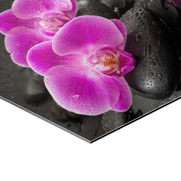 Quadri esagonali Fiore di orchidea rosa su pietra con gocce