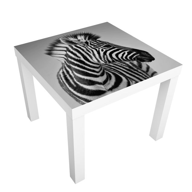 Pellicole adesive in bianco e nero Ritratto di piccola zebra II