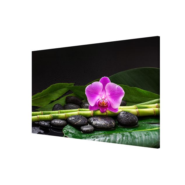Lavagne magnetiche con fiori Bambù verde con fiore di orchidea