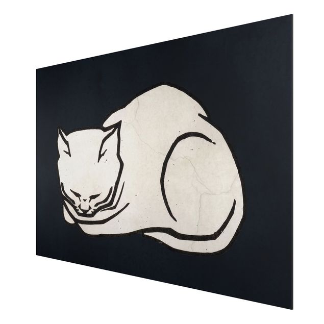 Quadri in bianco e nero Illustrazione di gatto addormentato