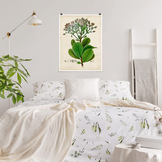 Poster retro style Poster con piante caducifoglie VIII
