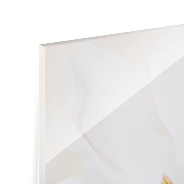 Paraschizzi in vetro - Delicate Magnolia Blossom