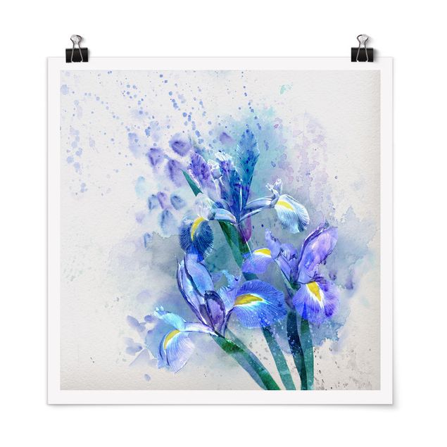 Quadri floreali Fiori ad acquerello - Iris