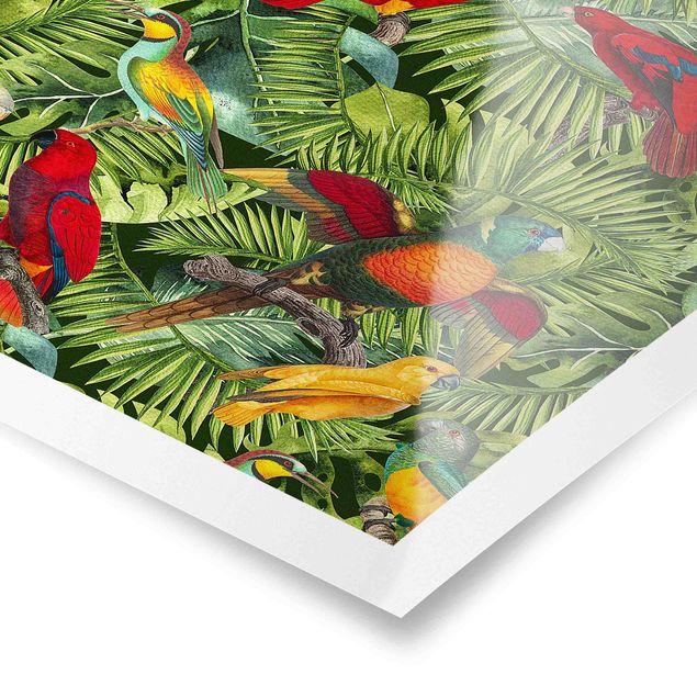 Quadri Andrea Haase Collage colorato - Pappagalli nella giungla