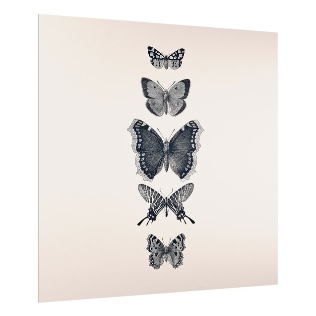 Decorazioni cucina Farfalle d'inchiostro su sfondo beige