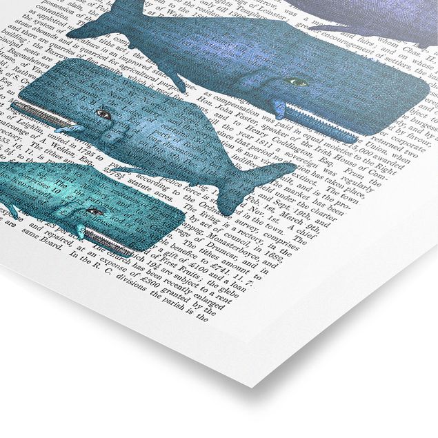 Quadri blu Lettura con animali - Famiglia di balene