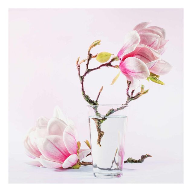 Magnettafel Glas Magnolia in un bicchiere