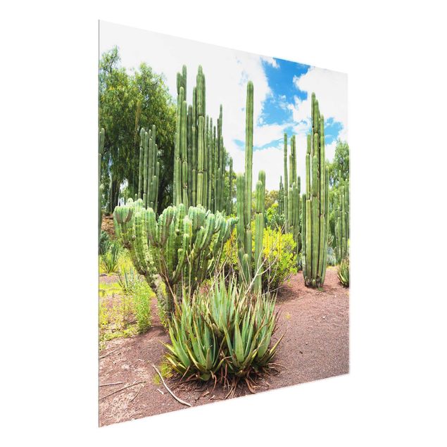 Quadri con paesaggio Paesaggio di cactus