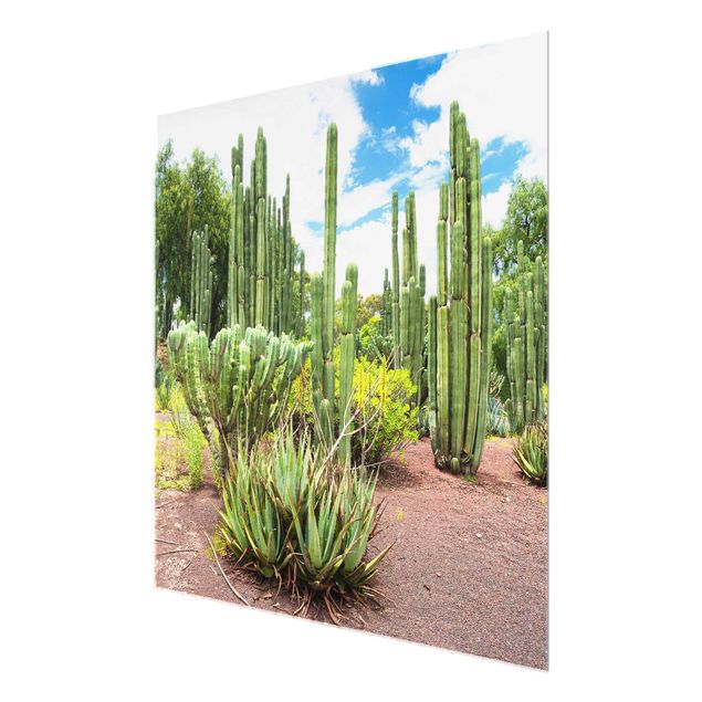 Quadri fiori Paesaggio di cactus