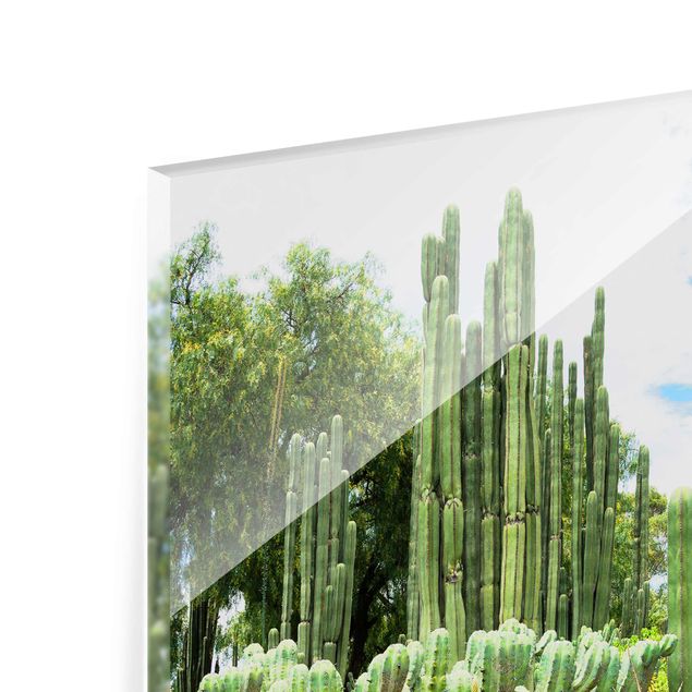 Quadro floreale Paesaggio di cactus