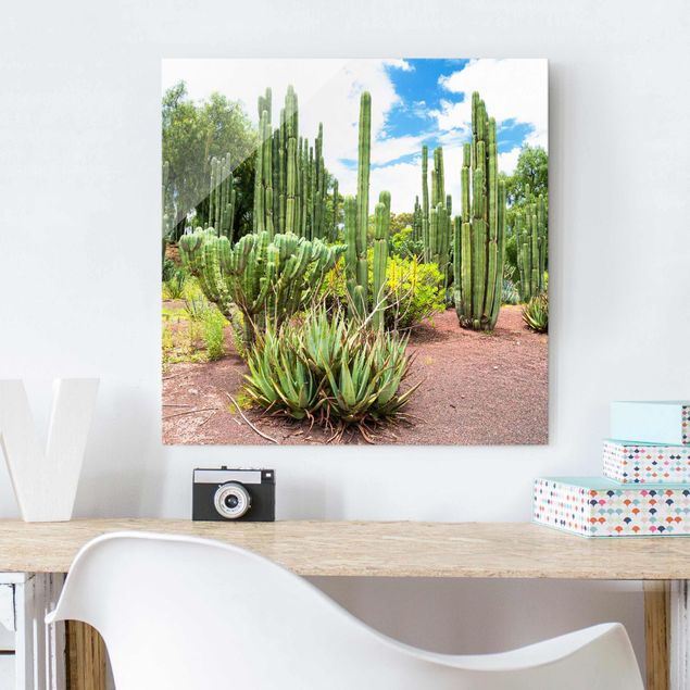 Magnettafel Glas Paesaggio di cactus