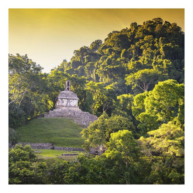 Quadri alberi Rovine Maya