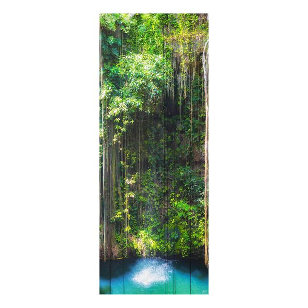 Quadro paesaggio Radici pendenti di Ik-Kil Cenote