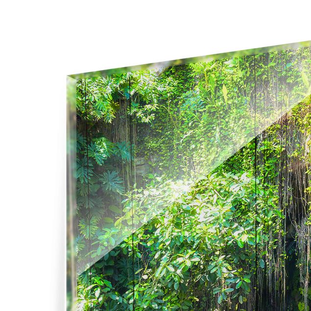 Quadri in vetro riproduzioni Radici pendenti di Ik-Kil Cenote