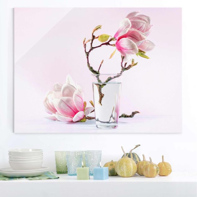 Quadri in vetro con fiori Magnolia in un bicchiere