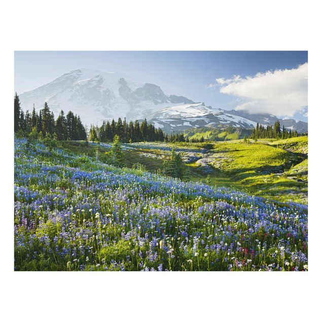 Quadri in vetro con fiori Prato di montagna con fiori blu davanti al monte Rainier