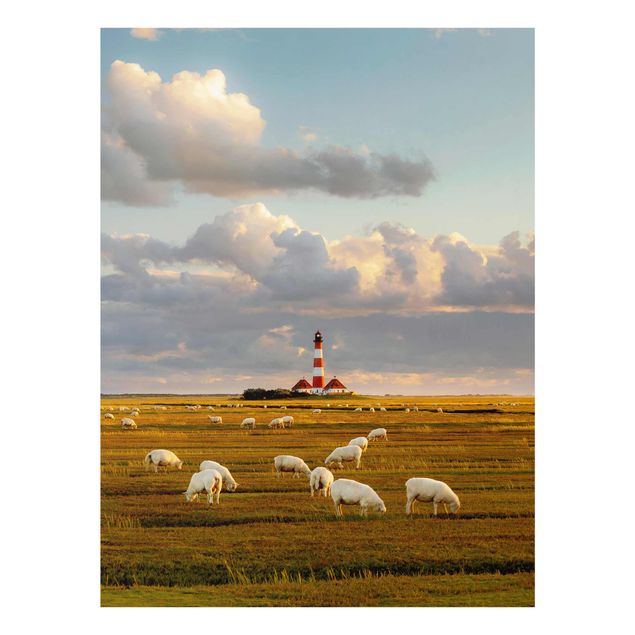 Quadro moderno Faro sul Mare del Nord con gregge di pecore