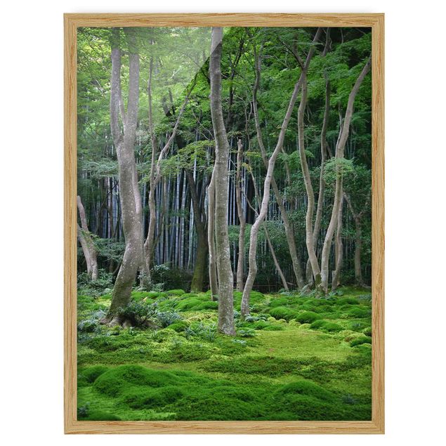 Quadro moderno Foresta giapponese