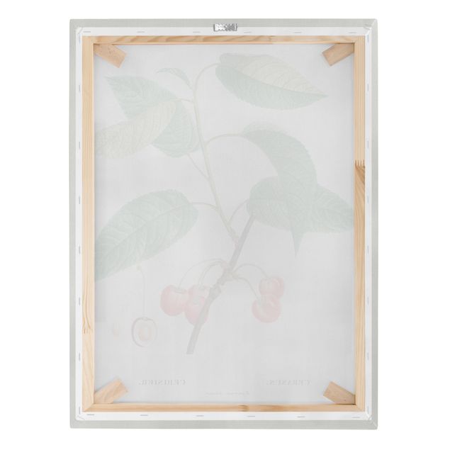 Stampa su tela - Illustrazione botanica rosso dell'annata Ciliegie - Verticale 4:3
