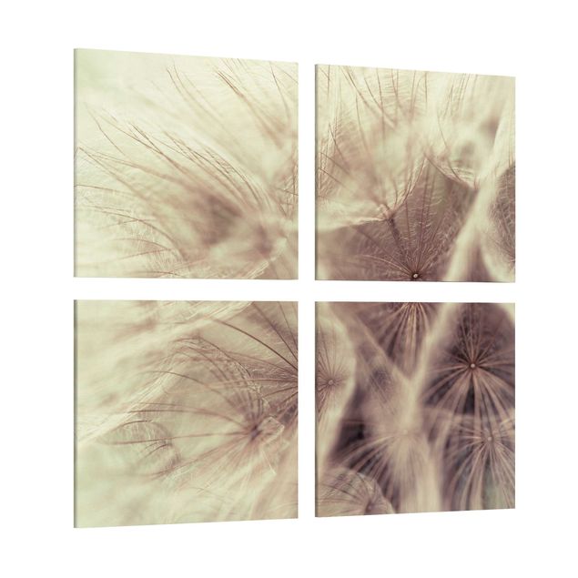 Quadro su tela componibile Macro ripresa dettagliata di un Soffione con effetto sfocato vintage