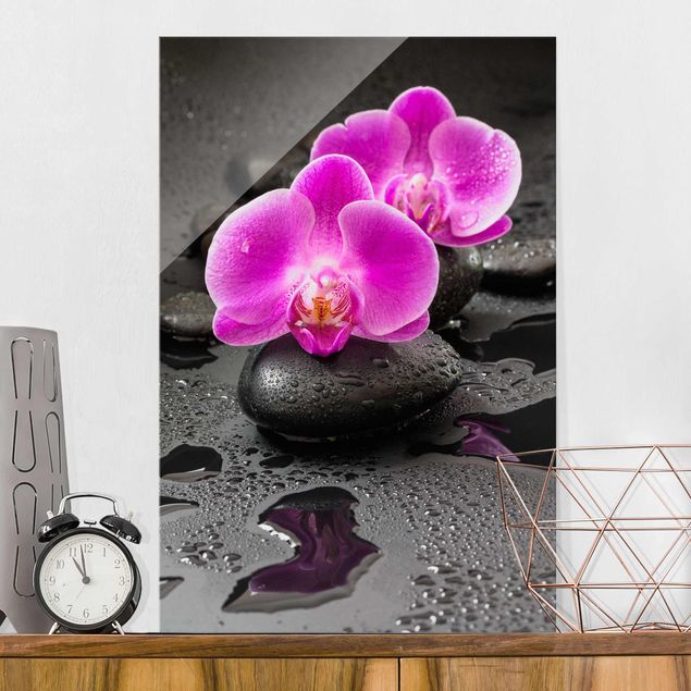 Quadri in vetro con orchidee Fiore di orchidea rosa su pietra con gocce