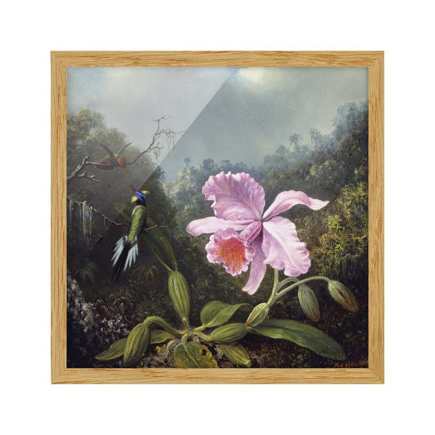 Quadri con cornice con fiori Martin Johnson Heade - Natura morta con un'orchidea e una coppia di colibrì