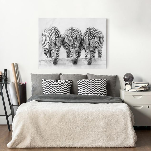 Quadri su tela con zebre Trio di zebre in bianco e nero