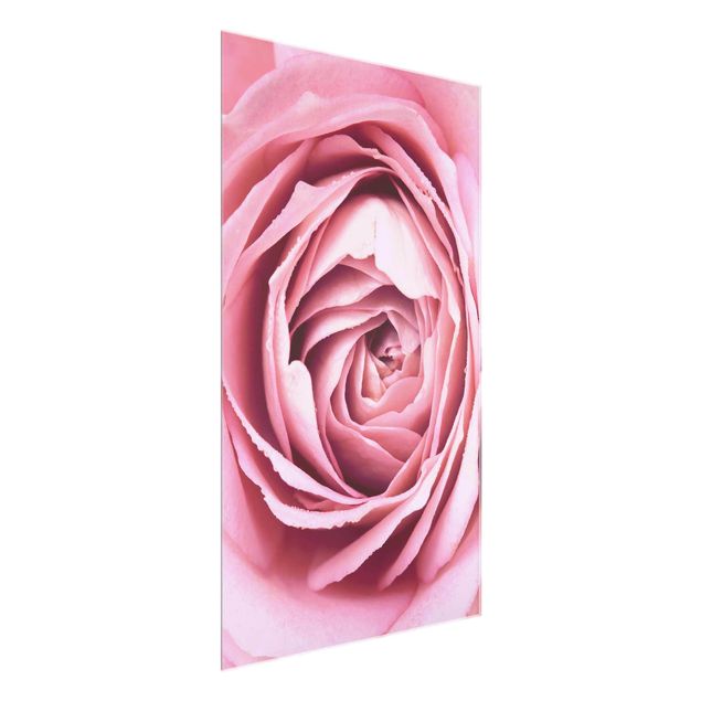 Quadri moderni per arredamento Fiore di rosa rosa