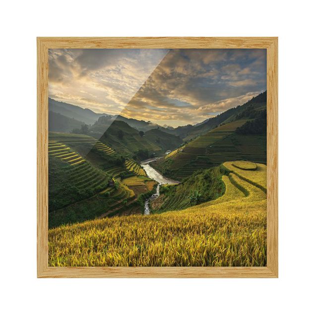 Quadri con cornice con paesaggio Piantagioni di riso in Vietnam