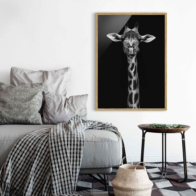 Quadri con cornice in bianco e nero Ritratto di giraffa scura