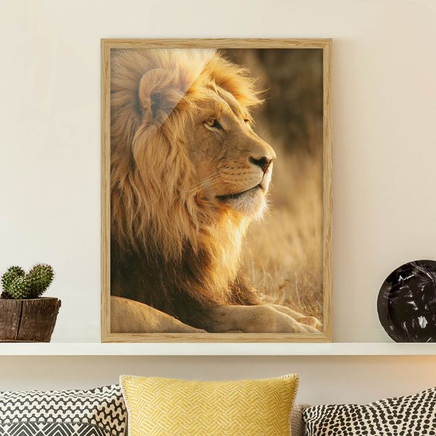 Quadro leone Lion King