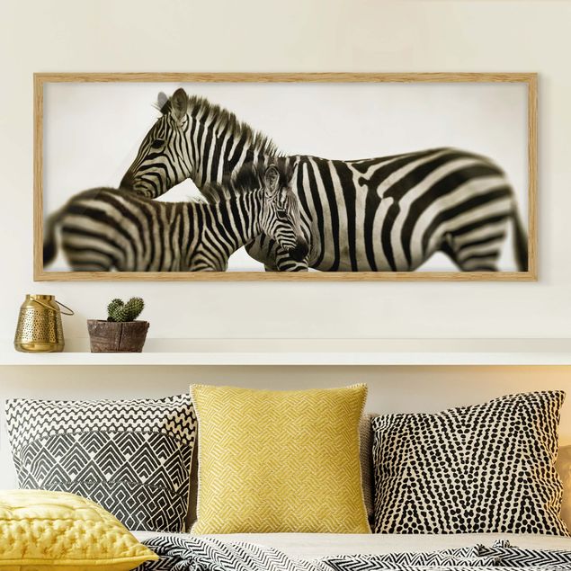 Quadri Africa Coppia di zebre
