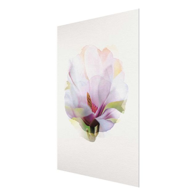Magnettafel Glas Acquerelli - Delicati fiori di magnolia