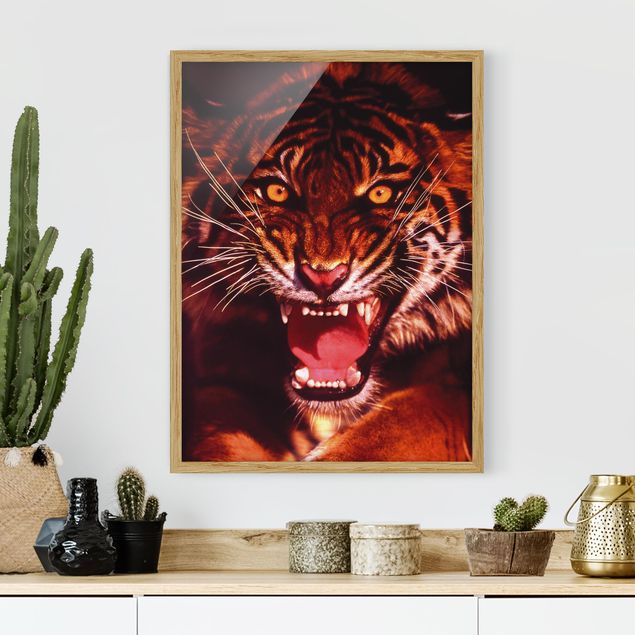 Quadro con tigre Tigre selvaggia