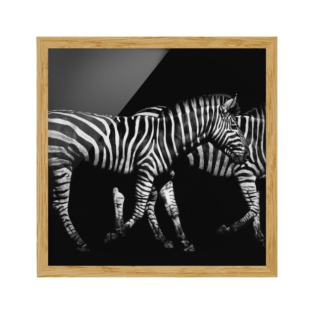 Quadro moderno Zebra nel buio