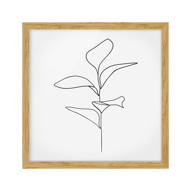 Quadri con cornice in bianco e nero Line Art - foglie di piante bianco e nero