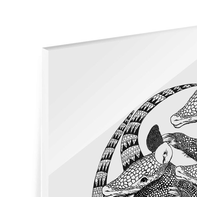 Glas Magnettafel Illustrazione - Armadillo - Disegno in bianco e nero