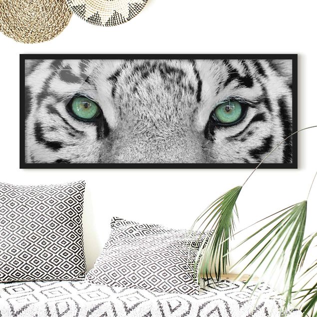 Quadri tigre Tigre bianca
