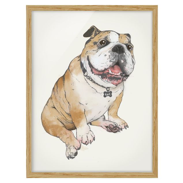 Riproduzioni quadri Illustrazione - Cane Bulldog Pittura