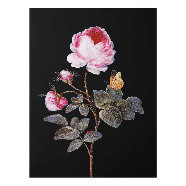 Quadro cane Barbara Regina Dietzsch - La rosa dai cento petali