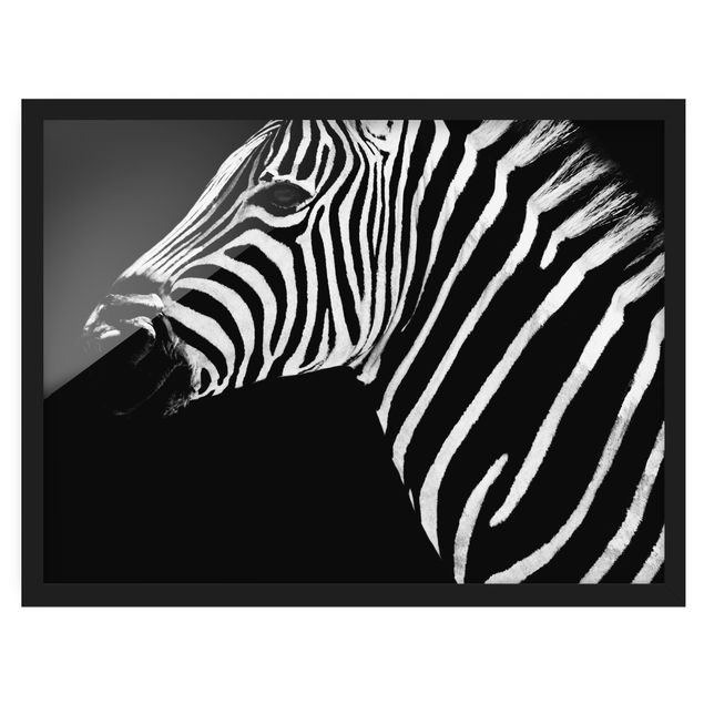 Quadri moderni   Zebra Safari Art