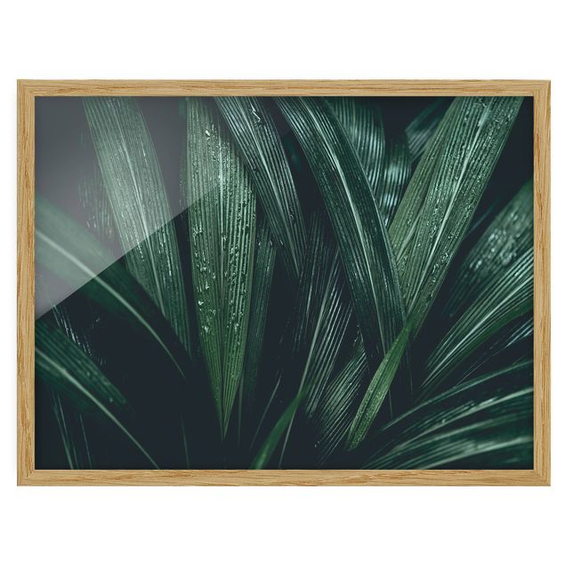 Quadro verde Foglie di palma verde