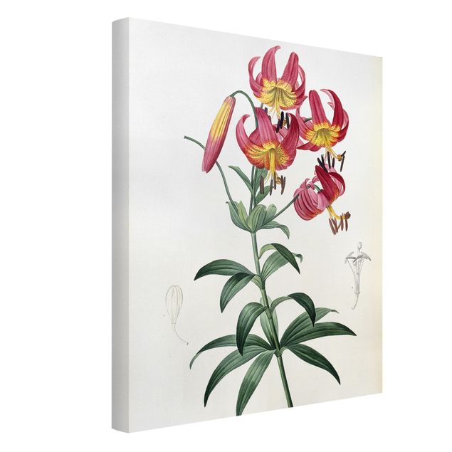 Quadri con fiori Pierre Joseph Redoute - Lilium Superbum